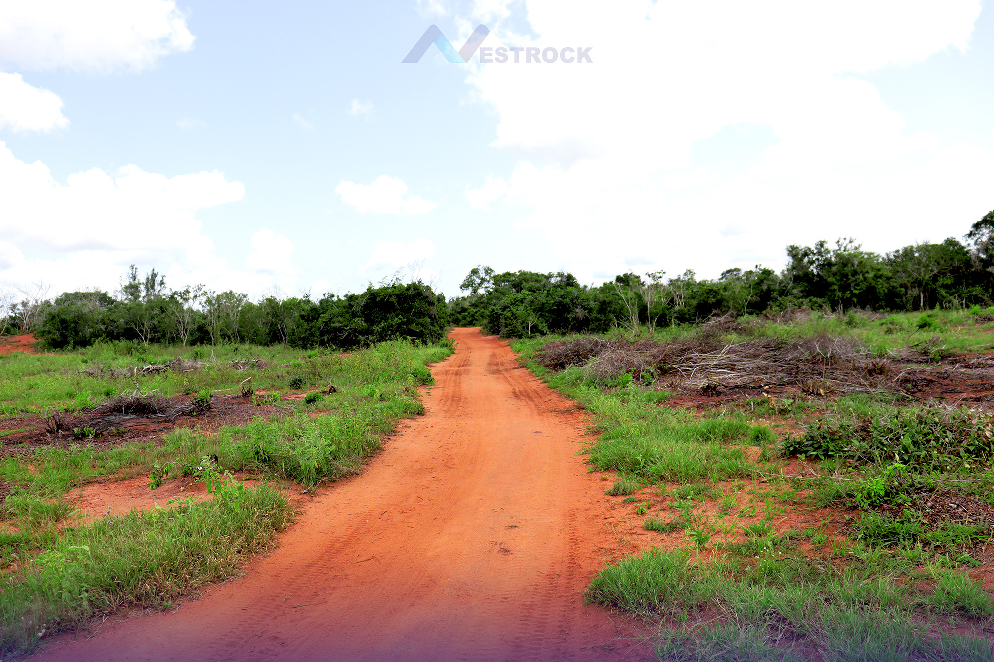 site_image_1694684854