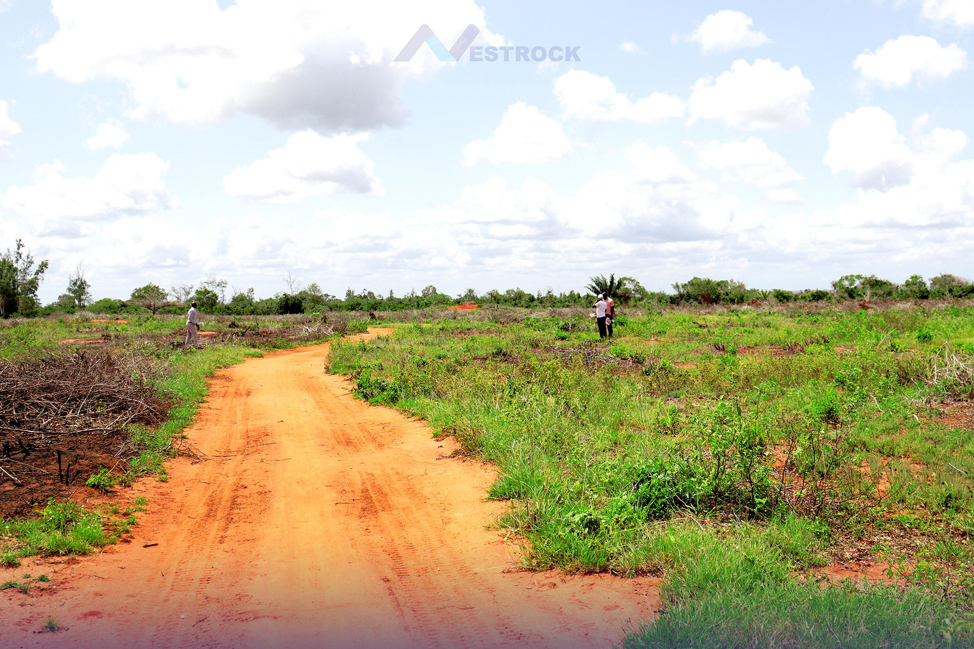 site_image_1694689831