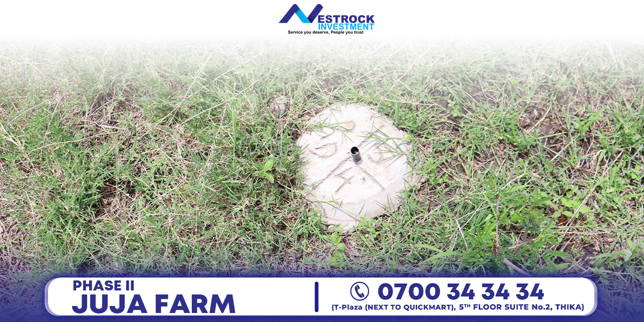 site_image_1695133133