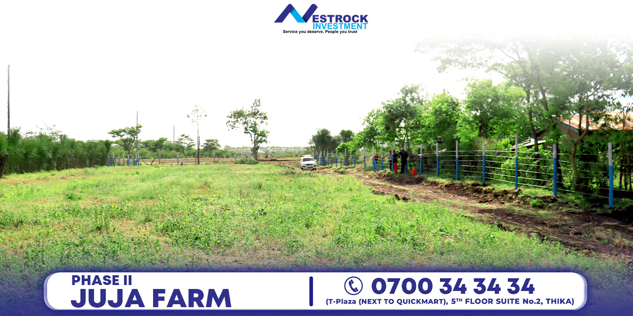 site_image_1695133999