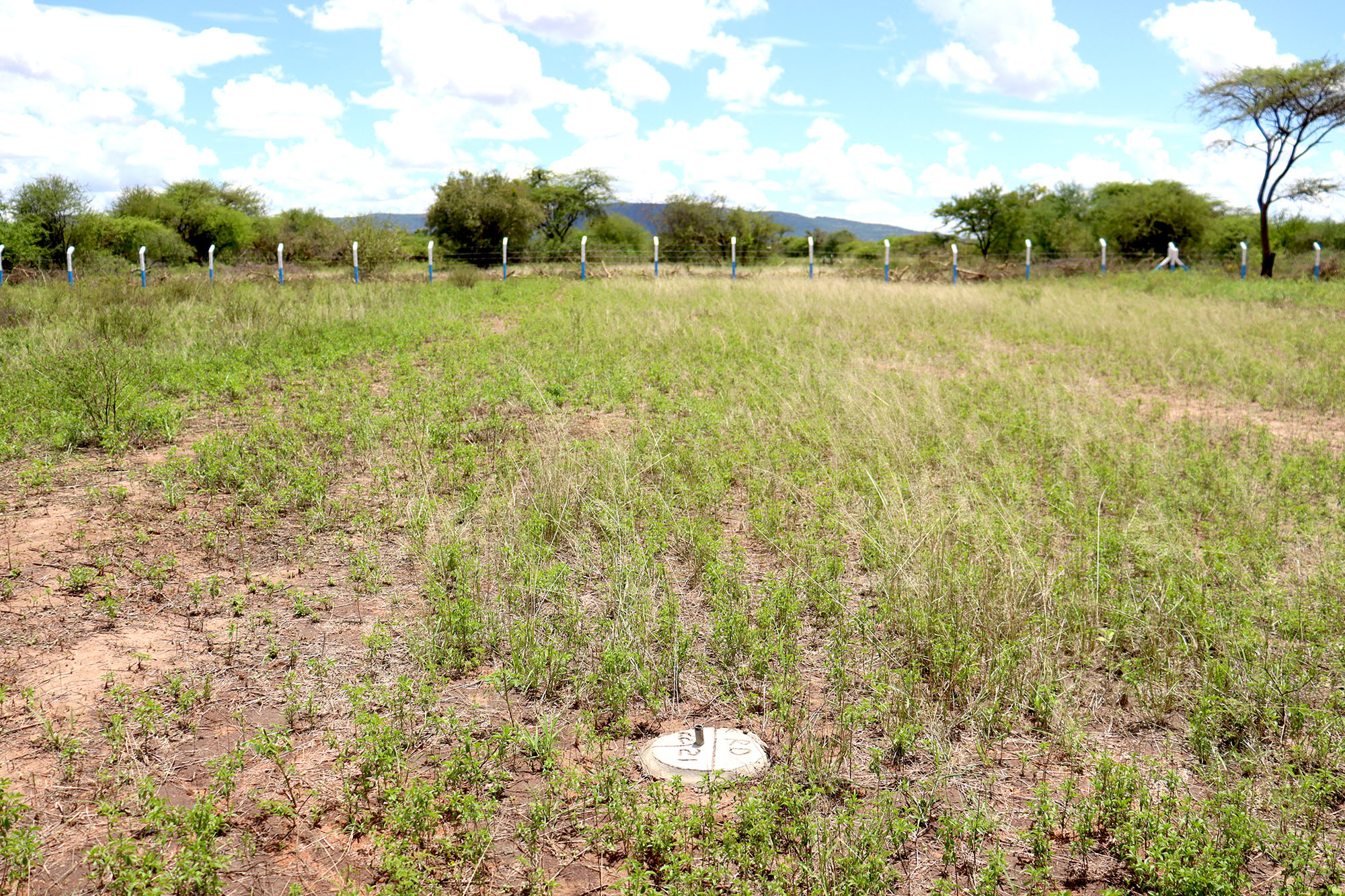 site_image_1713342774