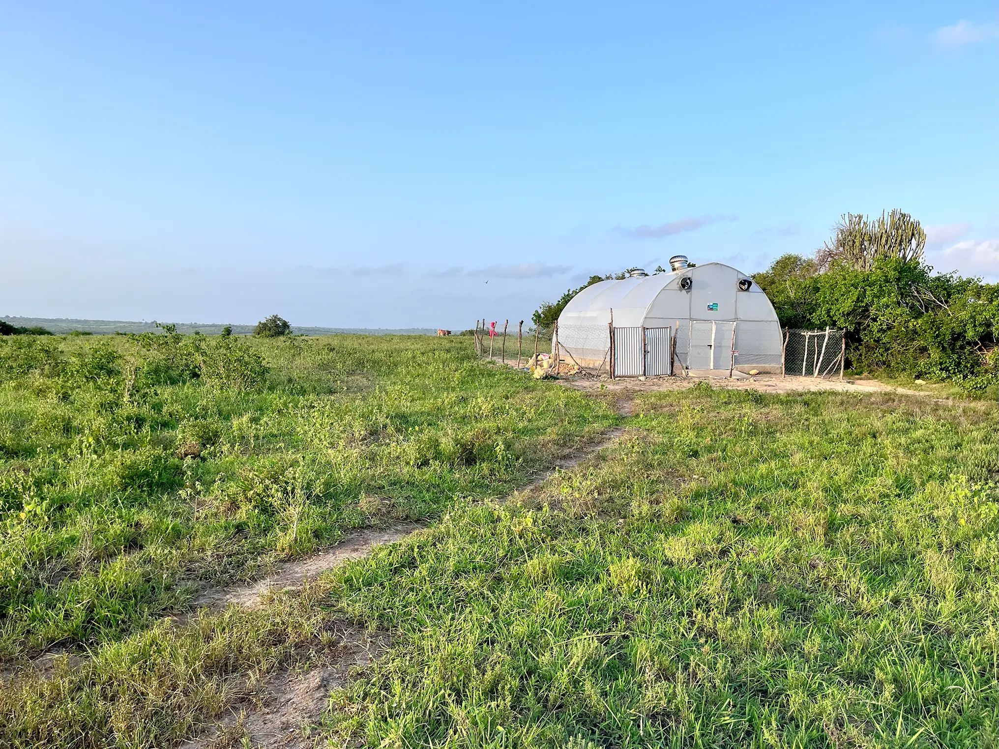 site_image_1736235681