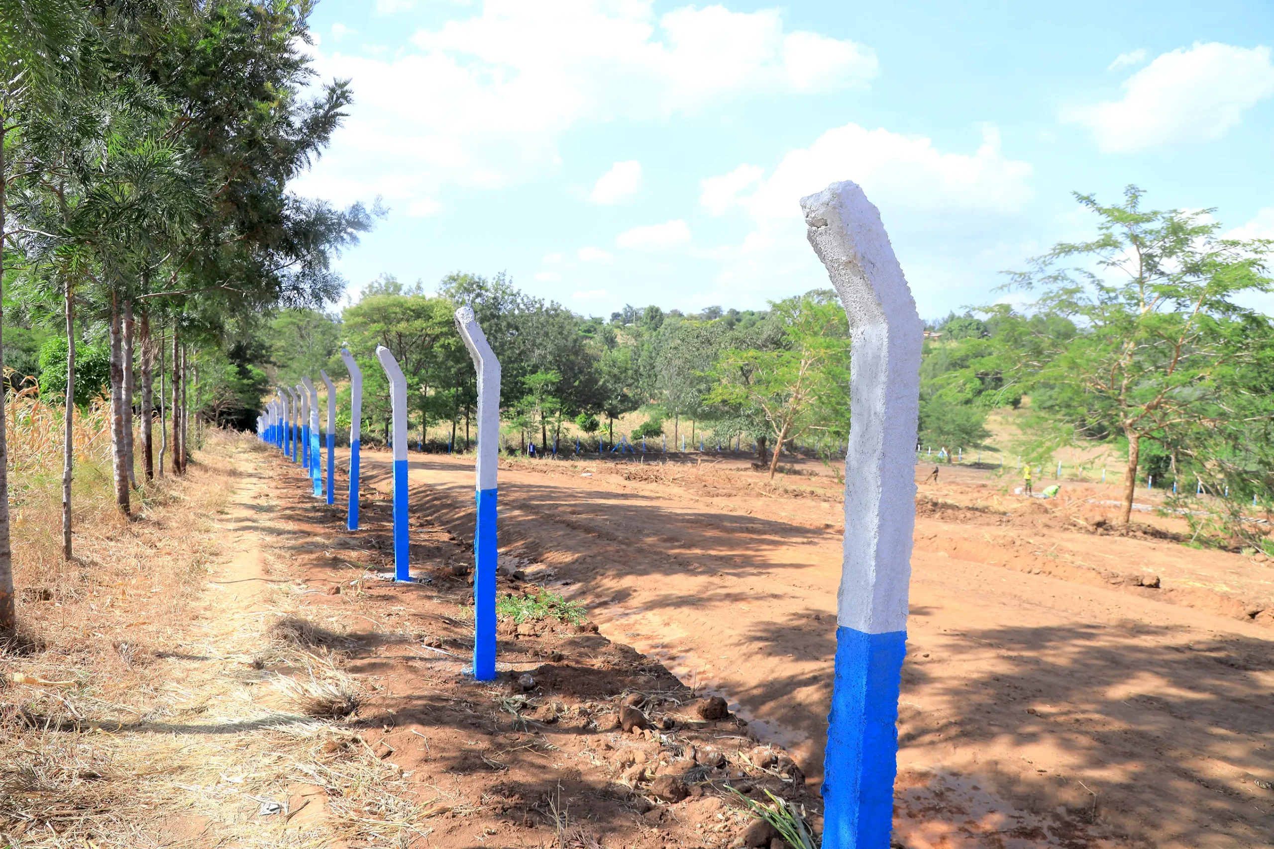 site_image_1741338698