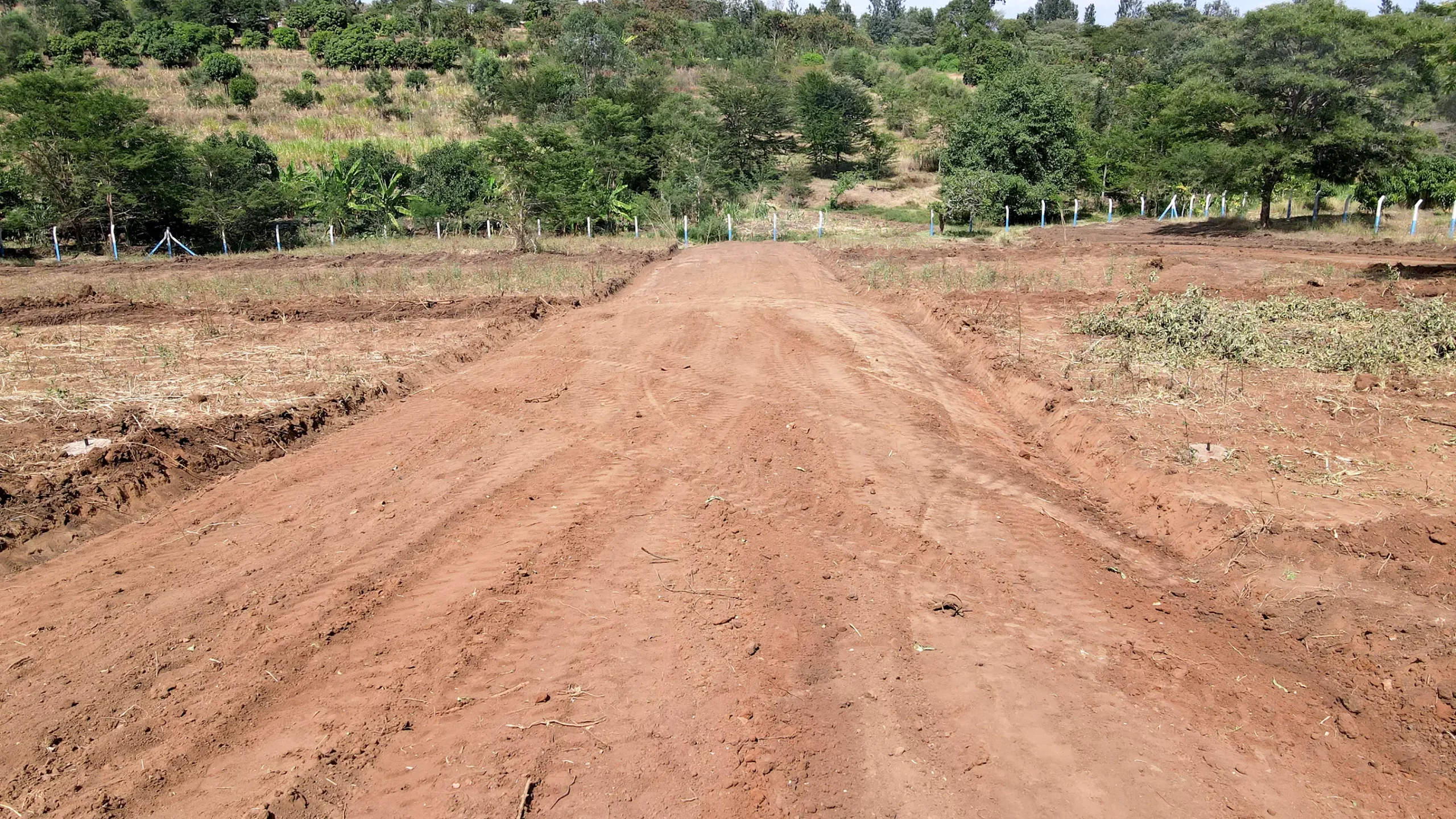 site_image_1741338699