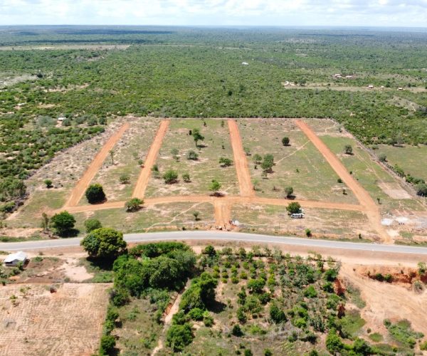 WhatsApp Image 2025-05-28 at 16.48.02_6ac9b8dd WhatsApp Image 2025-05-28 at 16.48.02_6ac9b8dd